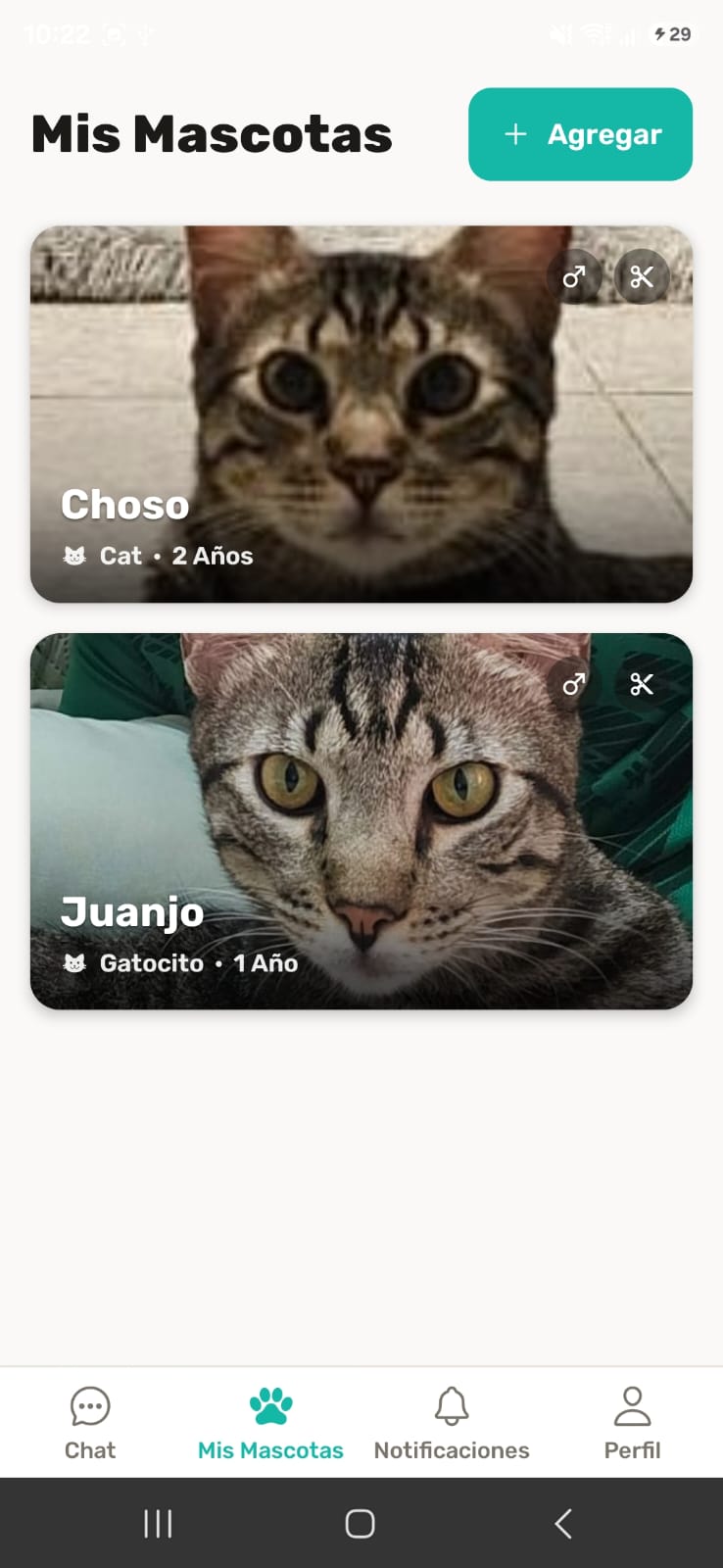 Paw ID pet list screen in light mode showing the same two cat profiles